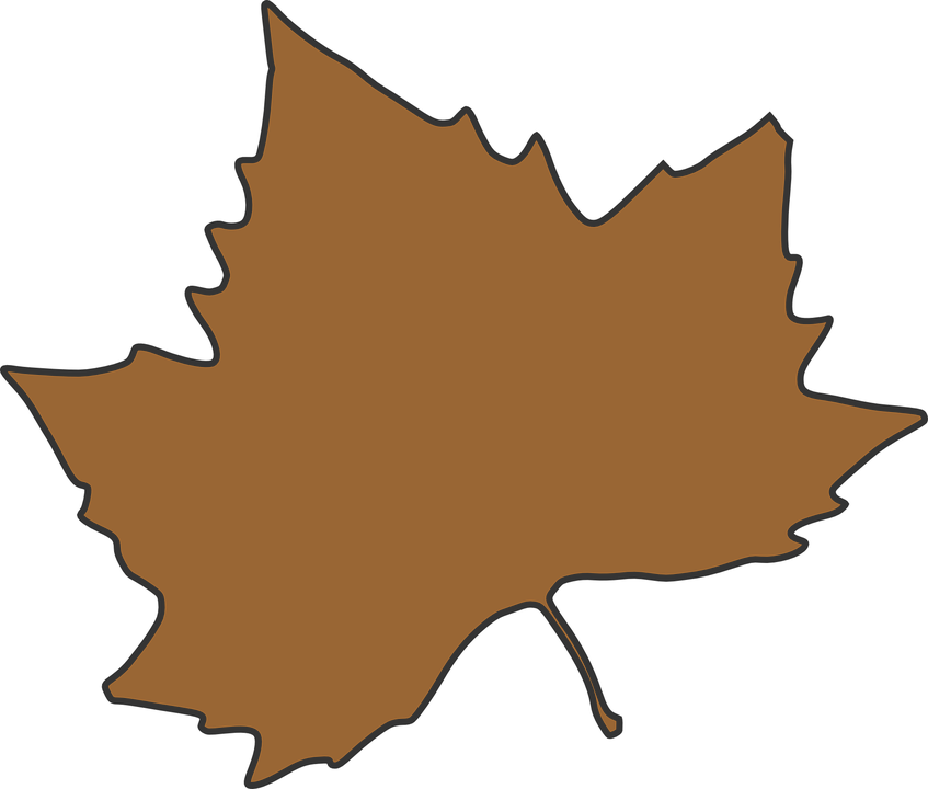 Autumn Leaves Clip Art (847x720)