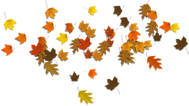 Fall Leaves Clip Art - Autumn (624x350)