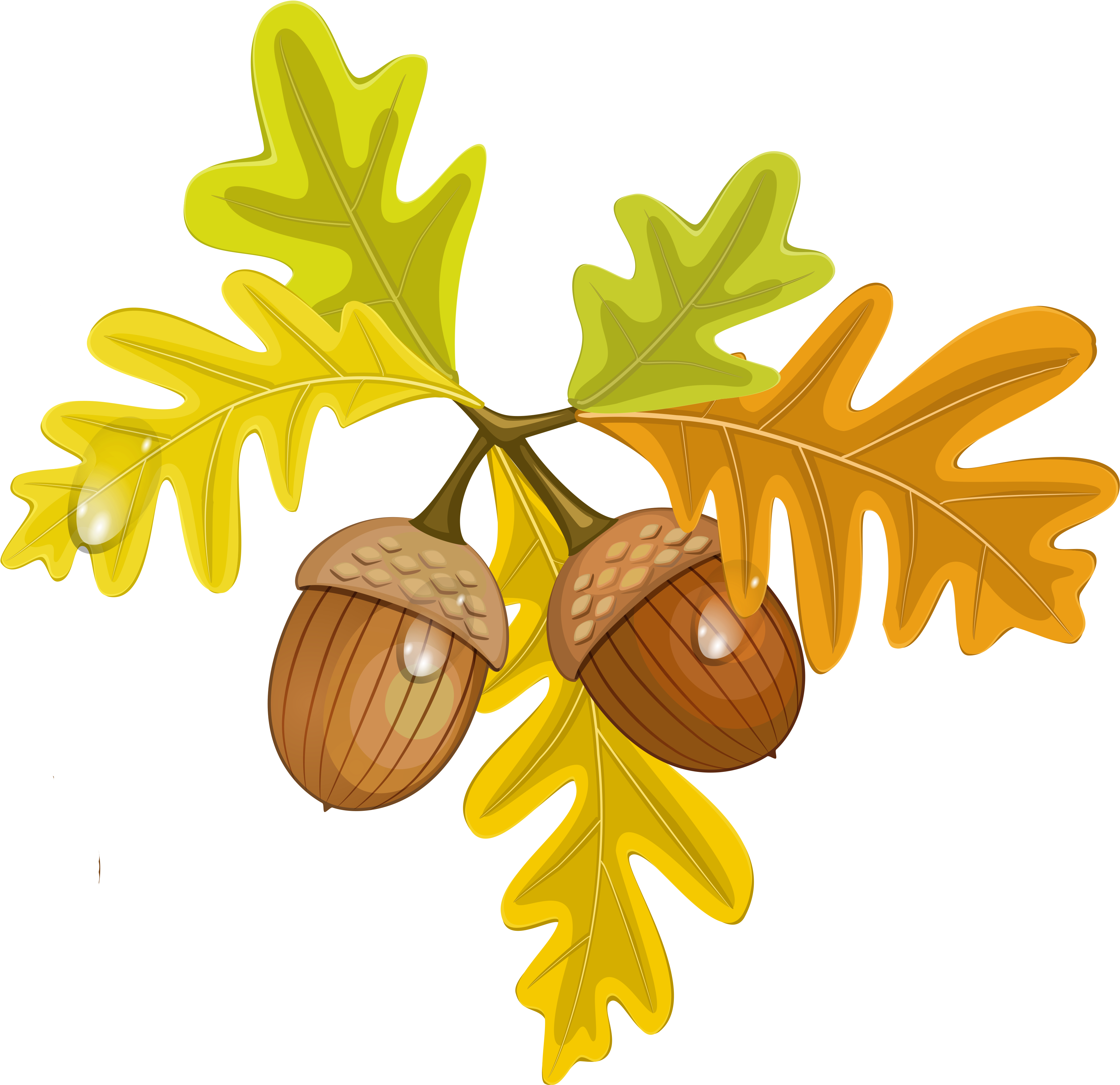 Czeshop Images Autumn Leaves Clipart Transparent Background - Fall Acorn Clip Art (4110x3898)