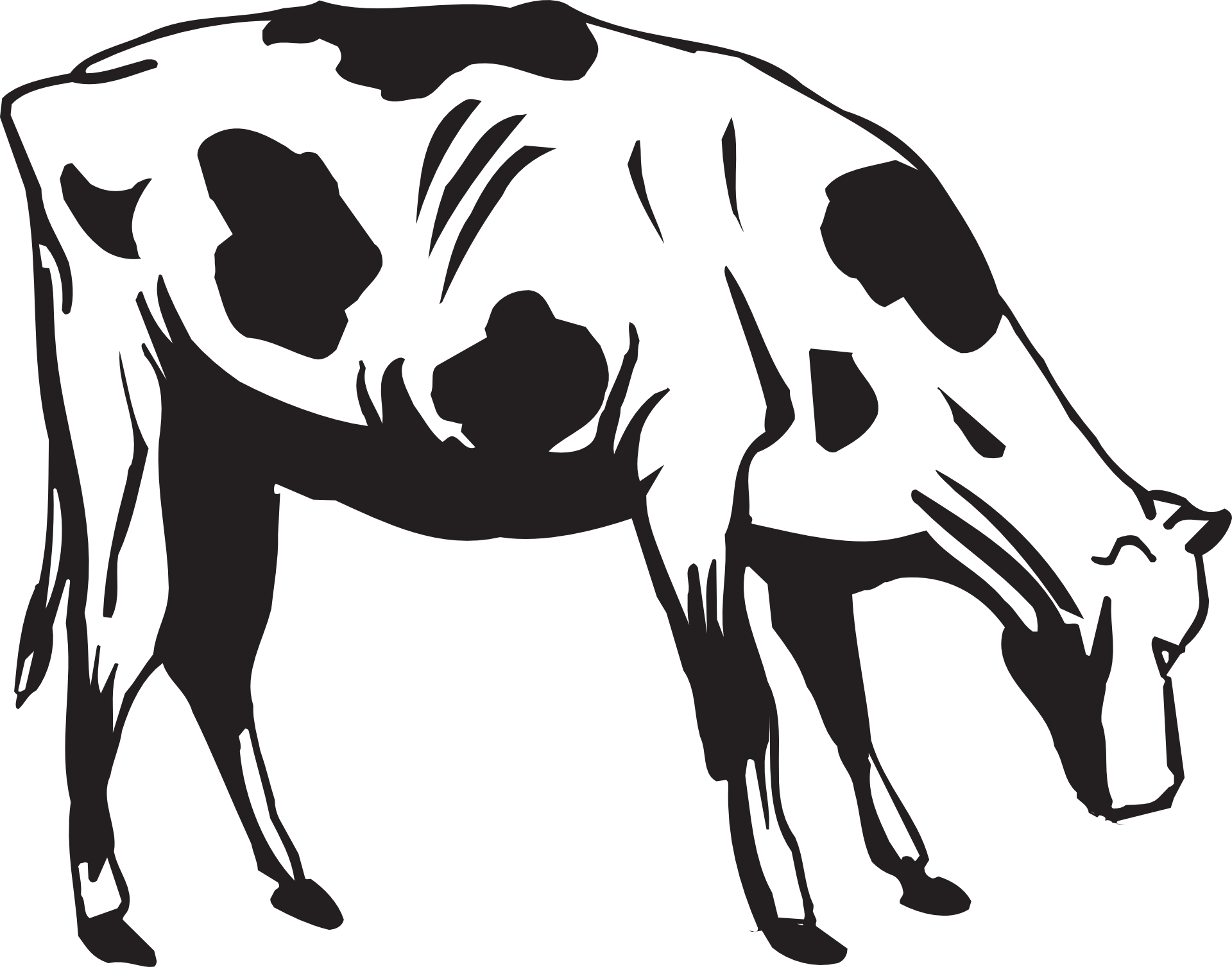 Grass Black And White Black Cow Eating Grass Clipart - Cow Eating Clip Art (1920x1507)