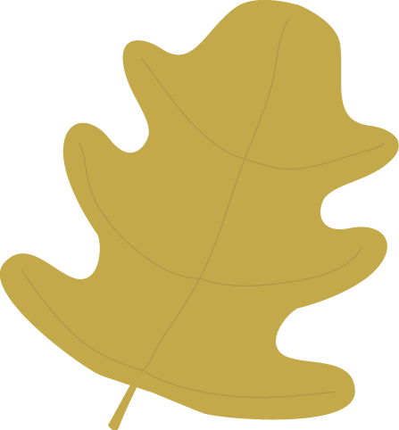 Leaf Clipart Black Oak - My Cute Graphics Leaf (447x482)