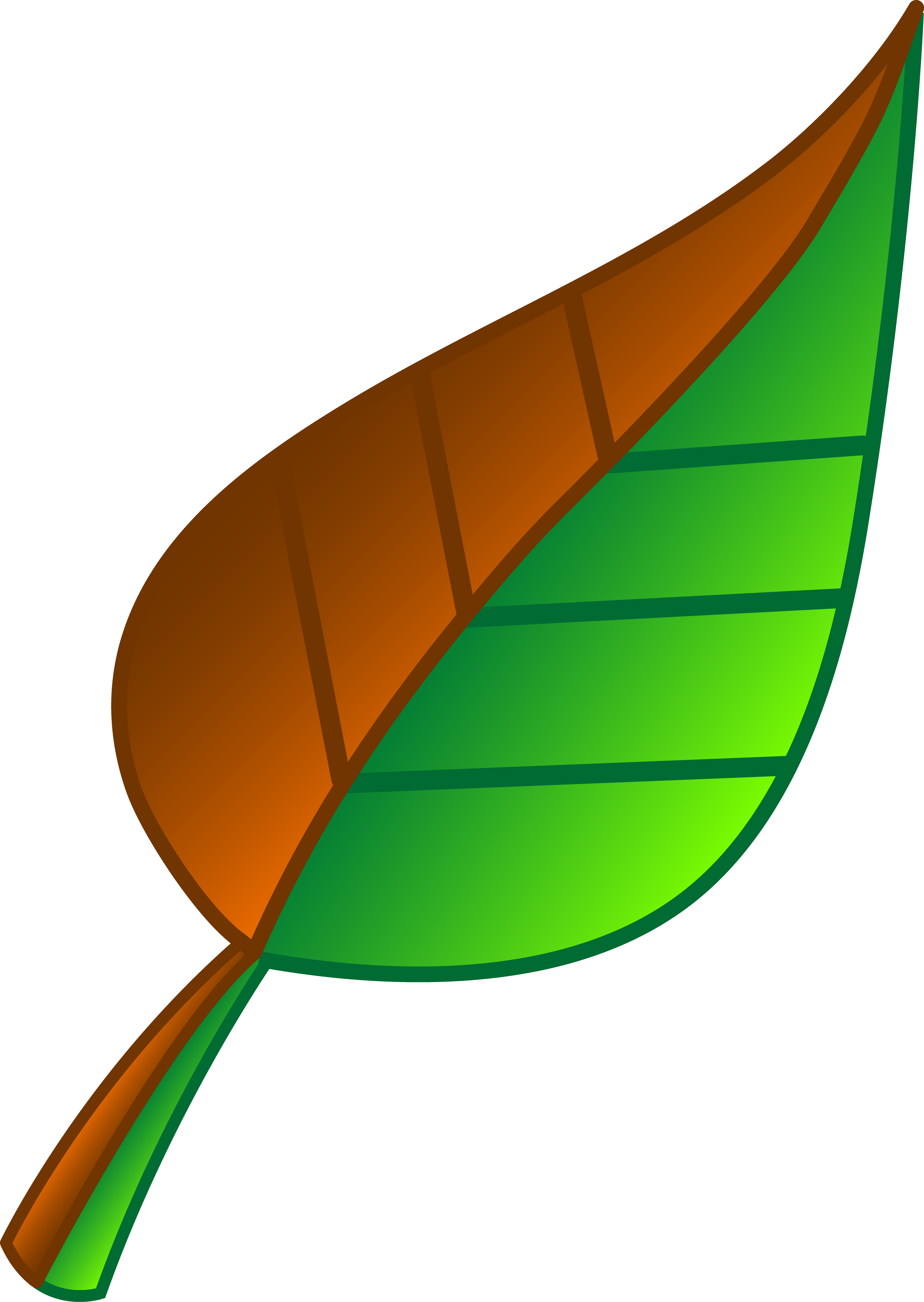 Leaf Of Apple Clipart Green Free Download Clip Art - Green And Brown Leaf (3906x5502)