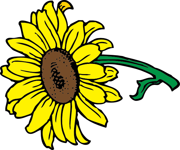 Sunflower Clip Art (600x500)