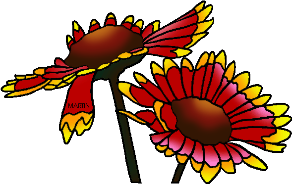 State Wild Flower Of Oklahoma - Indian Blanket Flower Clipart (648x422)