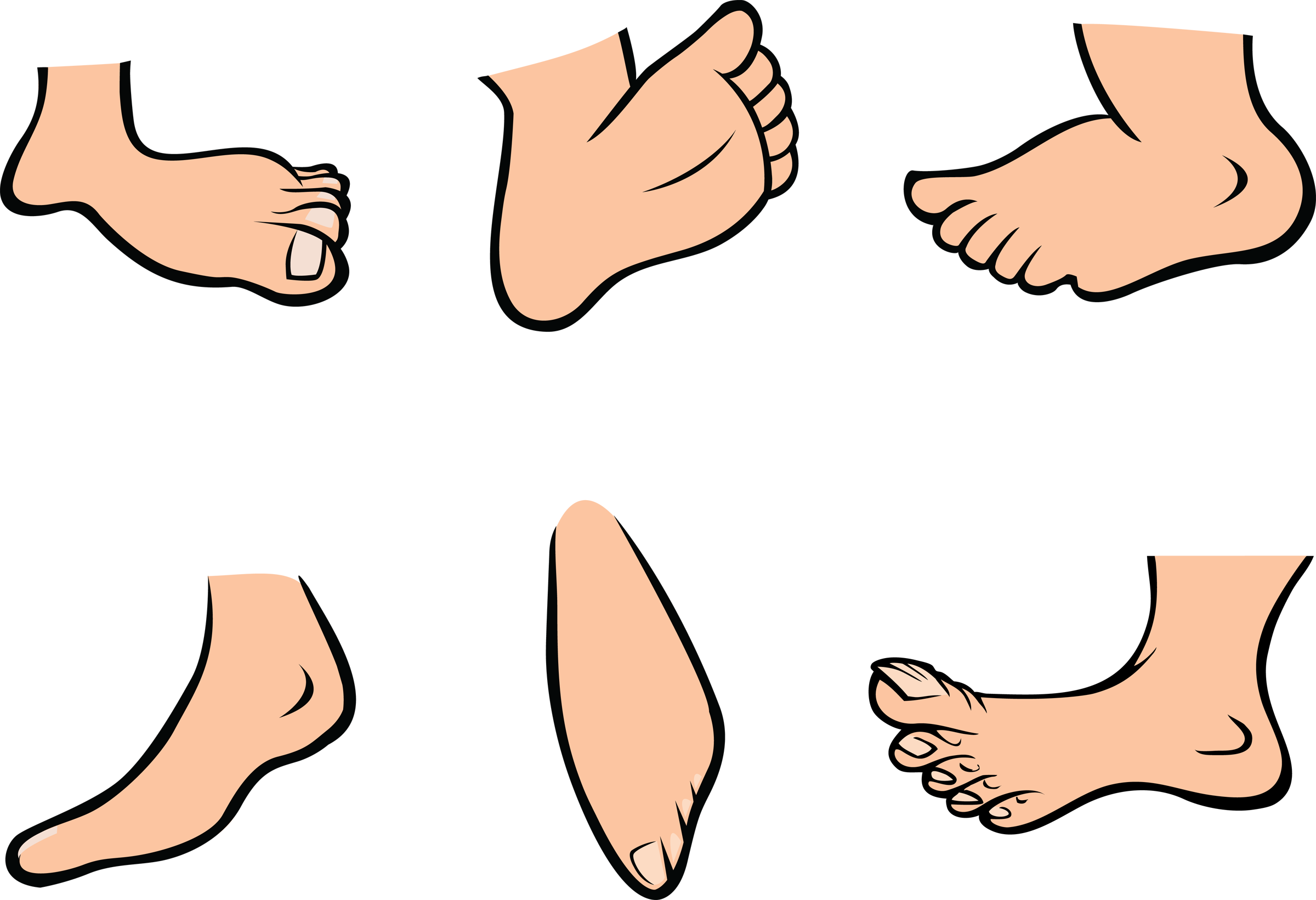 Bunny Feet Clipart Elegant Free Animataed Collection - Foot Cartoon Png (2400x1641)
