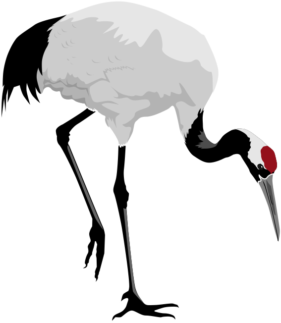 Free To Use Public Domain Birds Clip Art - Red Crowned Crane Clipart (736x773)