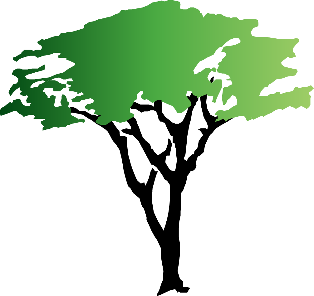 Green Tree Clipart - Acacia Tree Clipart (1006x949)