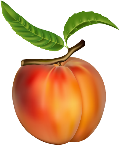 Peach Clipart Peach Png Clipart Frutas Pinterest Peach - Peach Clip Art (414x500)