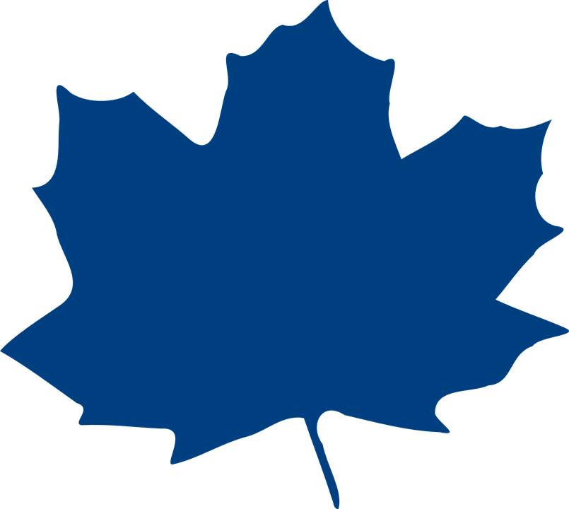 Maple Leaf Clipart Blue - Daun Maple (805x720)