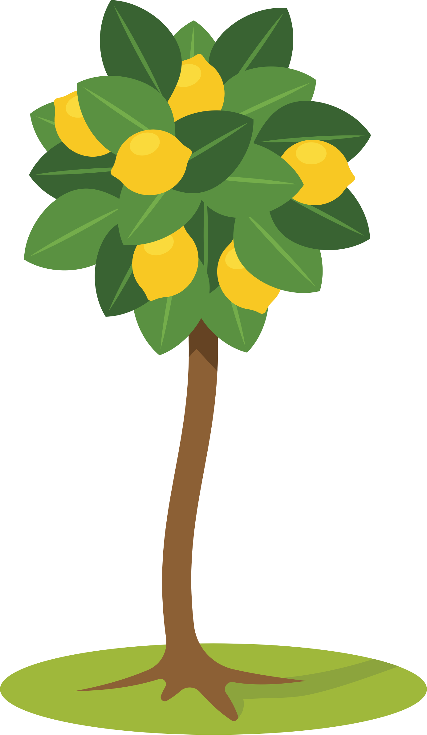 Lemon Tree Clipart - Lemon Tree Clipart (1386x2388)