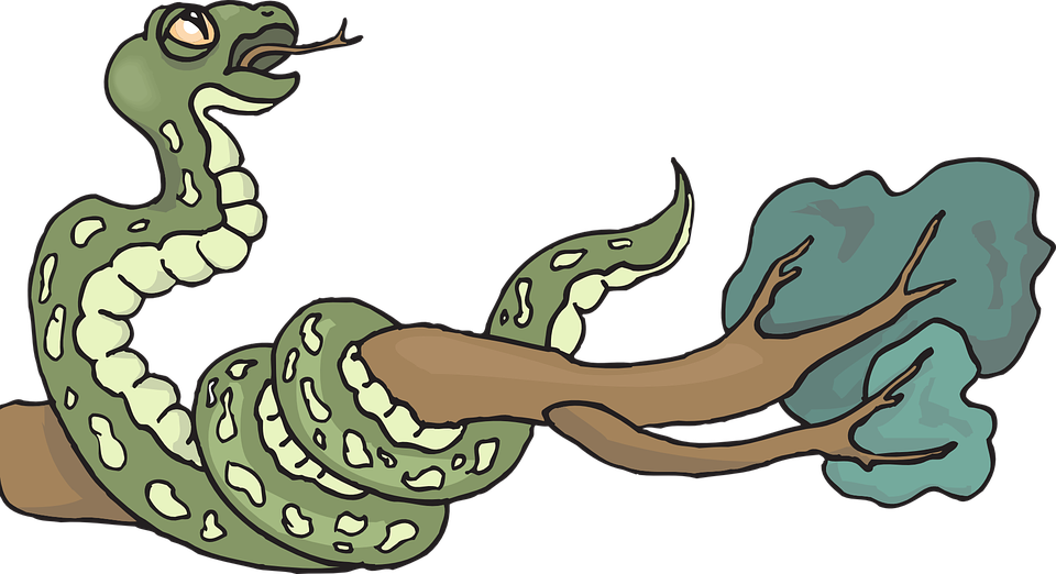 Snake Tree Branch Leaves Reptile Hissing Curled - Snake Tree Branch Leaves Reptile Hissing Curled (960x522)