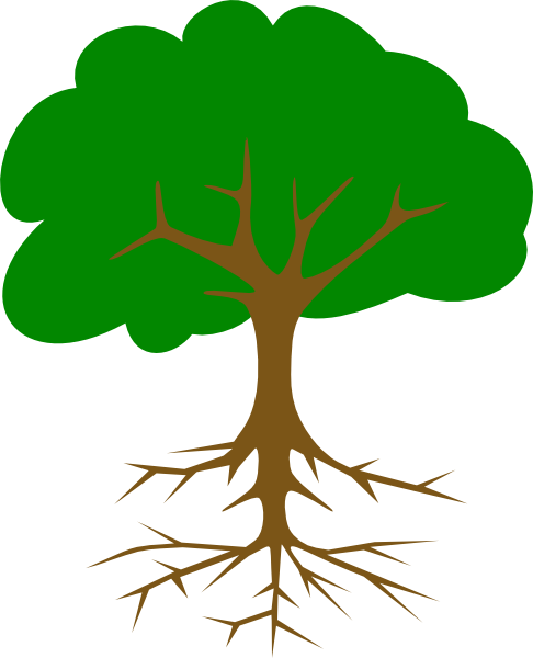 Big Tree Clipart Clip Art At Clker Com Vector Online - Tree Clip Art (486x600)