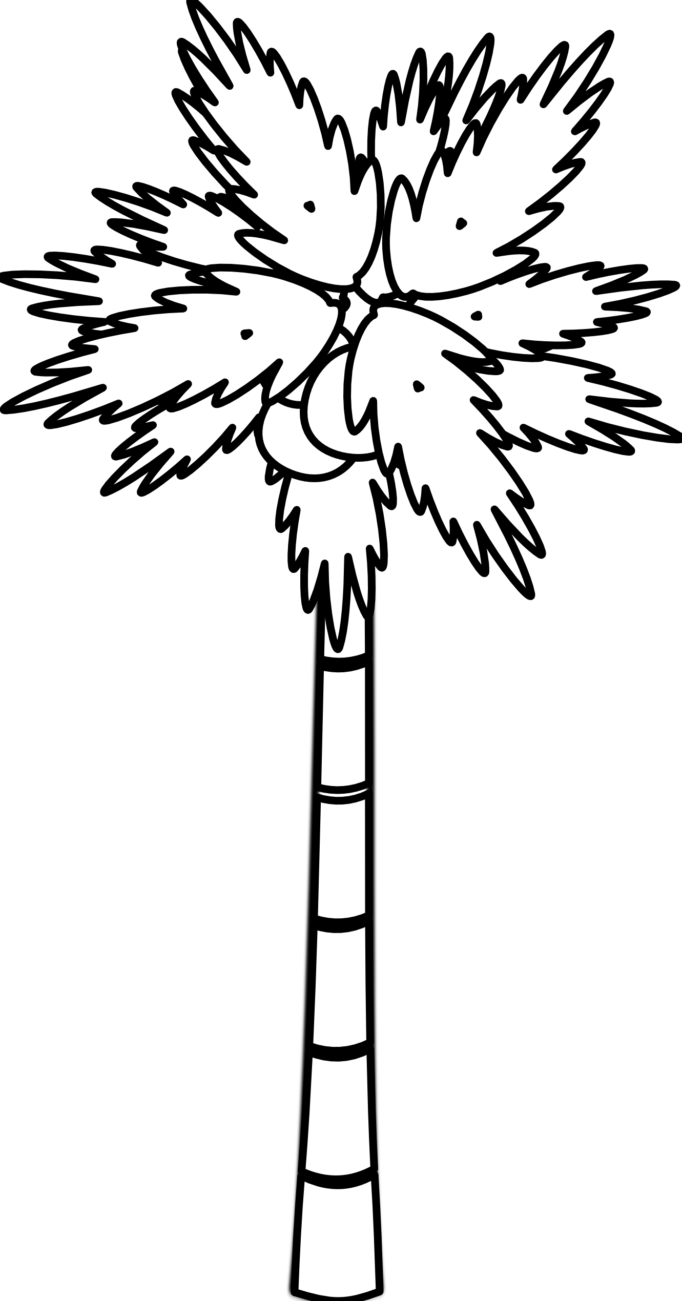 Palm Tree Clip Art Black And White - Palm Tree Clip Art Black And White (1331x2539)