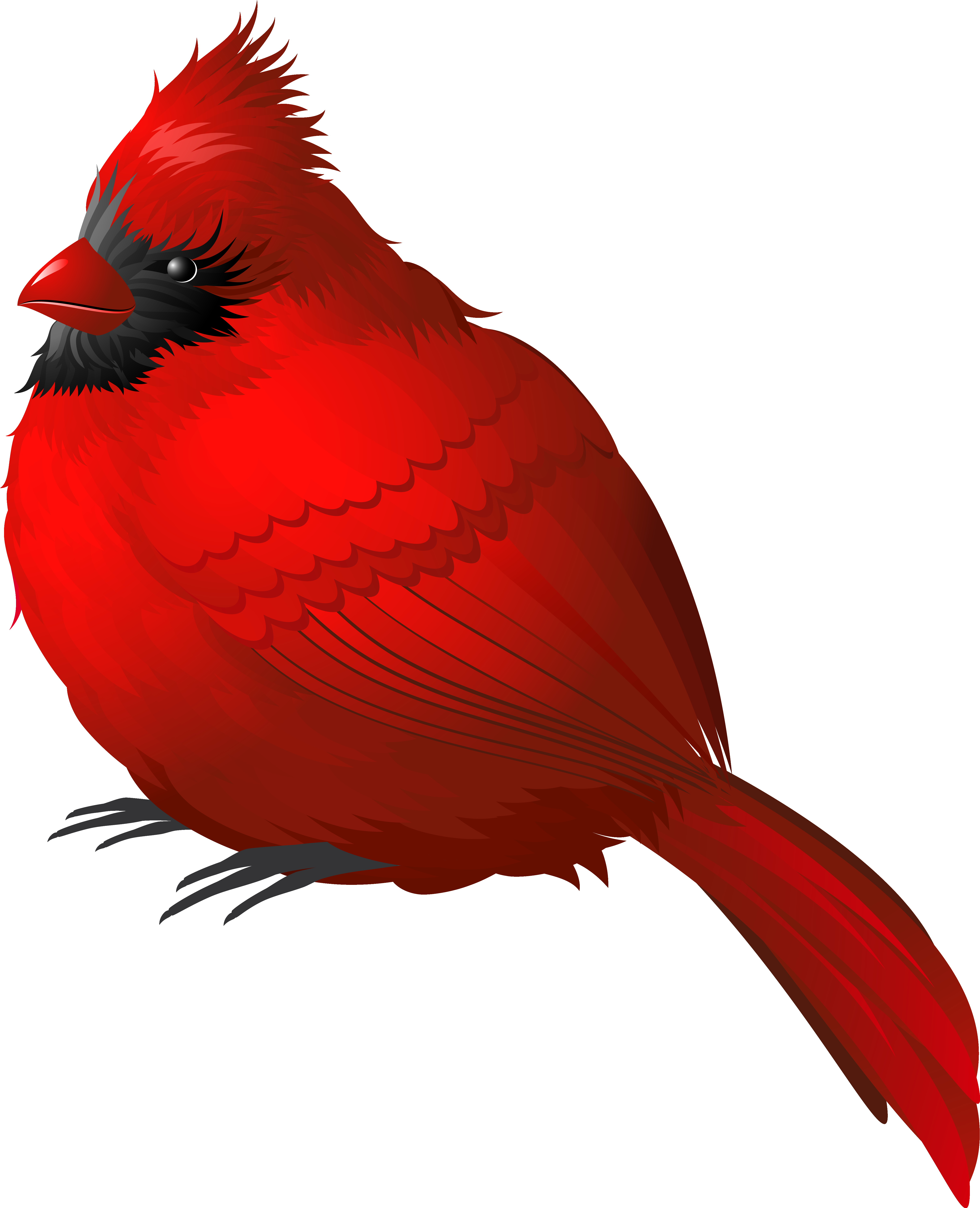 Red Winter Bird Png Clipart Image - Red Bird Png (4925x6068)