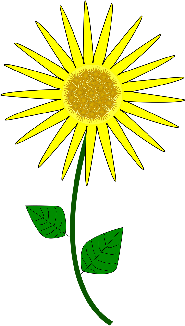 Sunflower Clip Art 2 Clipartbold - Sunflower Cartoon (958x1354)
