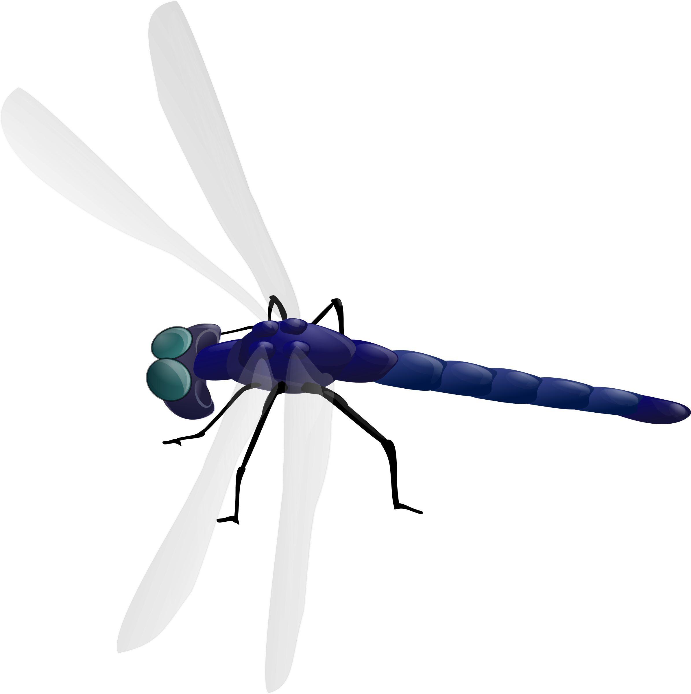 Dragonfly Clipart (2390x2400)