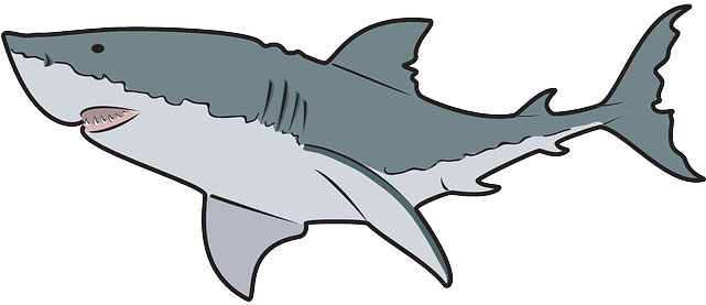 Shark Clip Art - Great White Shark Mugs (641x277)