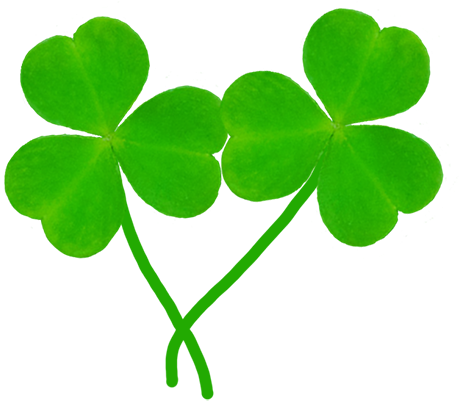 Two Leaves Of Shamrock - Two Shamrocks Clip Art (472x415)