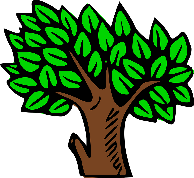 Tree Forest Green Nature Landscape Environ - Clip Art (786x720)