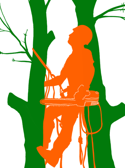 Picture - Picture (427x571)