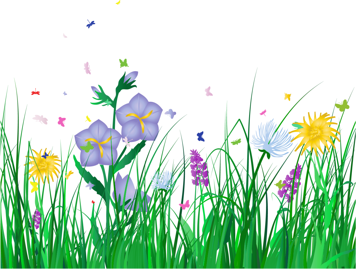Flower Clipart With No Background - Flower Clipart With No Background (1200x926)