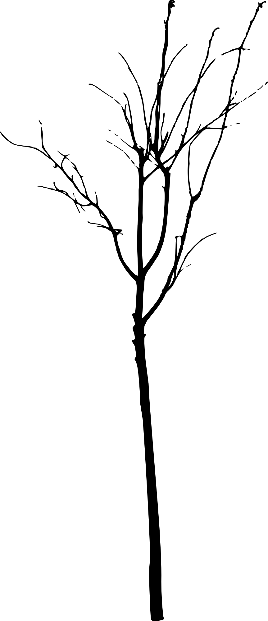 Free Download - Free Download (863x2000)