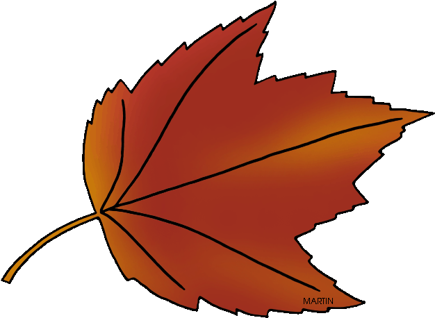 State Tree Of Rhode Island - Autumn (648x485)