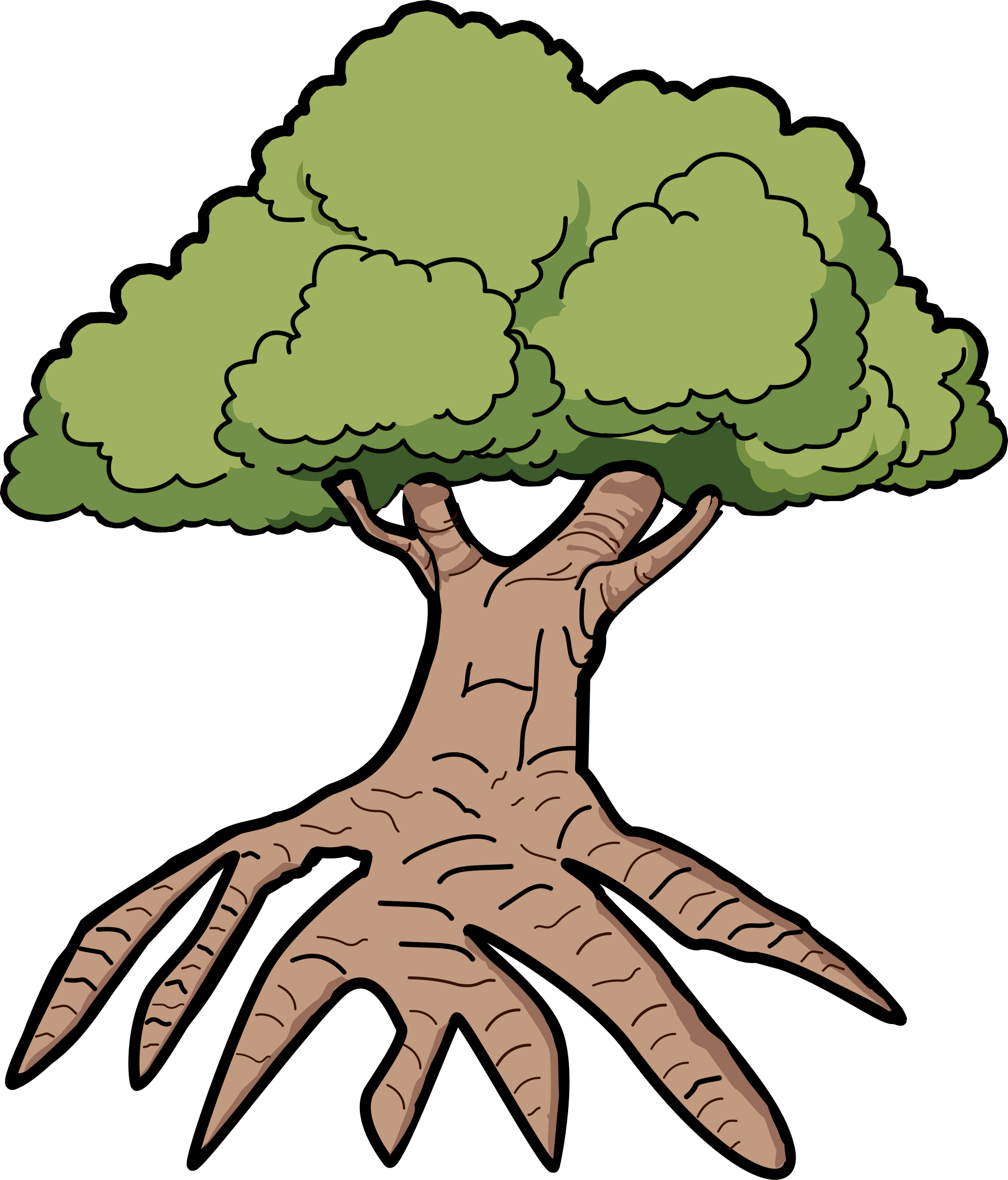 Tree With Long Roots - Tree Clip Art With Roots (2051x2400)