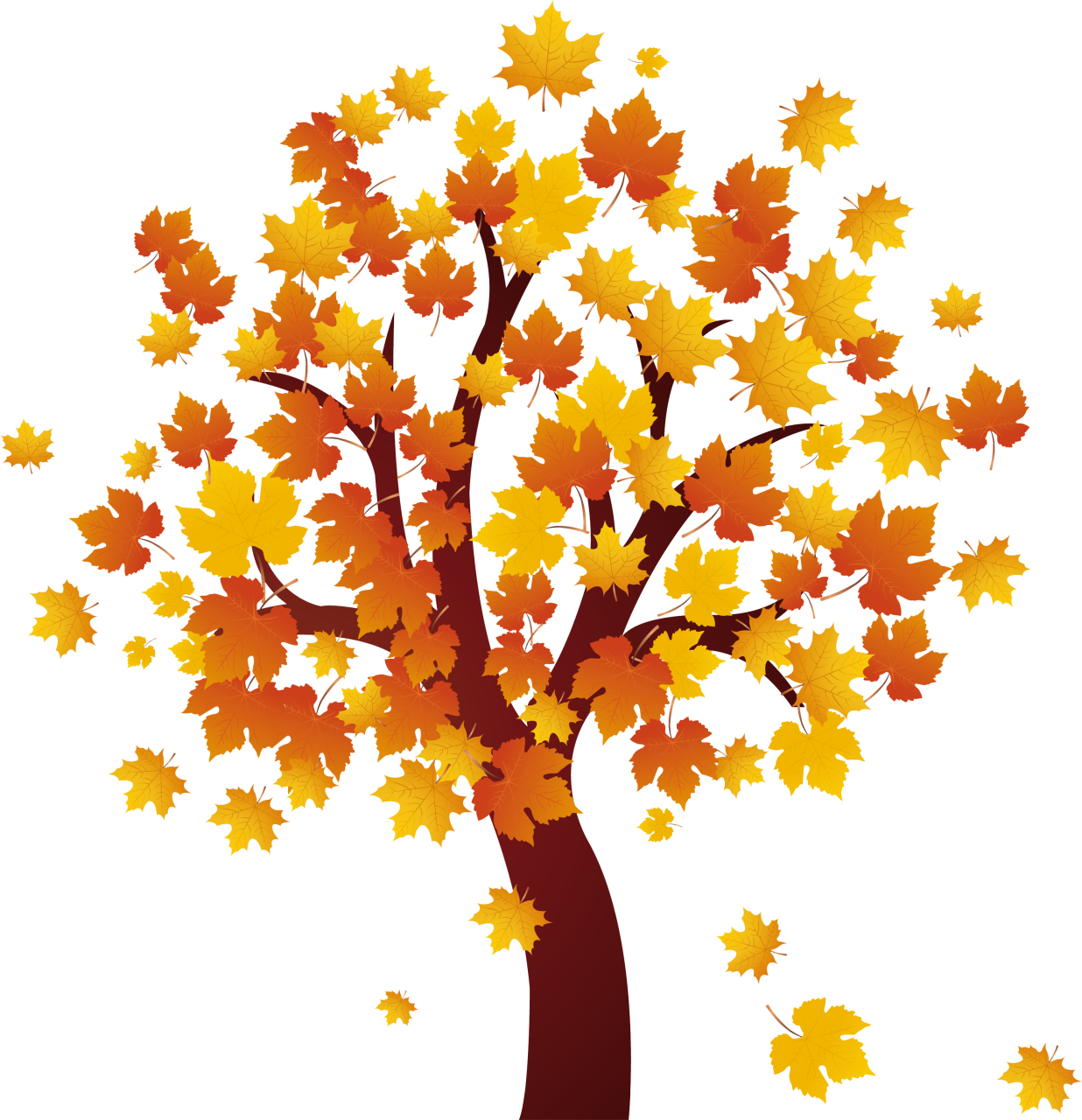 Autumn Clipart Autumn Maple Tree - Fall Tree Clip Art (1236x1280)