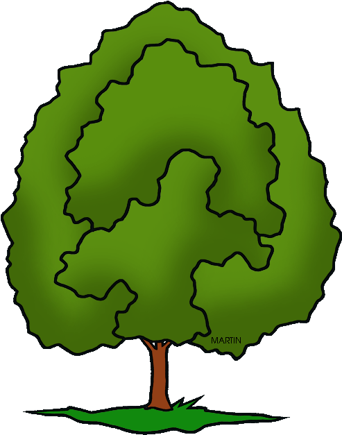 United States Clip Art Phillip Martin State Tree Of - Tree Clipart Phillip Martin (527x648)