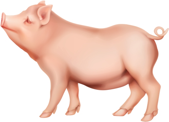Pig Png Clip Art Image - Clipart Pig Png (600x440)