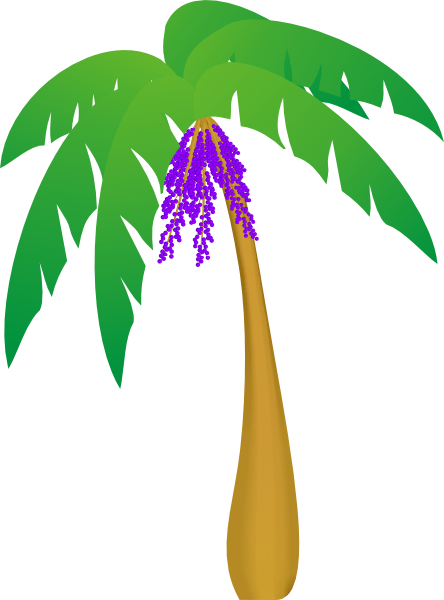 Free Palm Tree Clip Art Images (444x600)