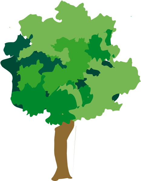 Rainforest Plant And Tree Clipart - Illustration (498x597)