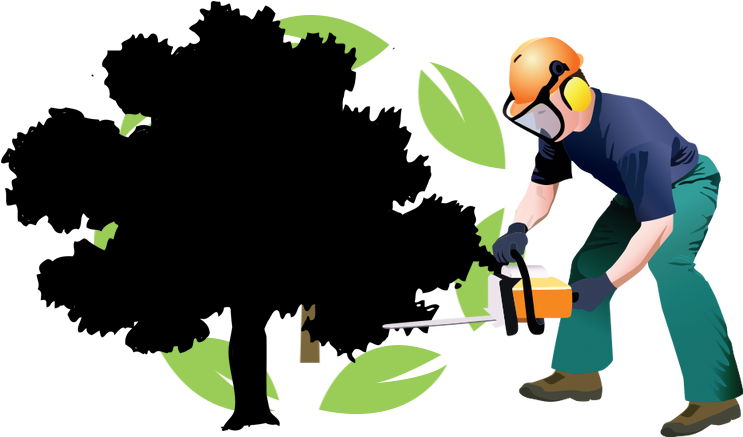 Houston Texas Tree Care - Houston Texas Tree Care (800x500)