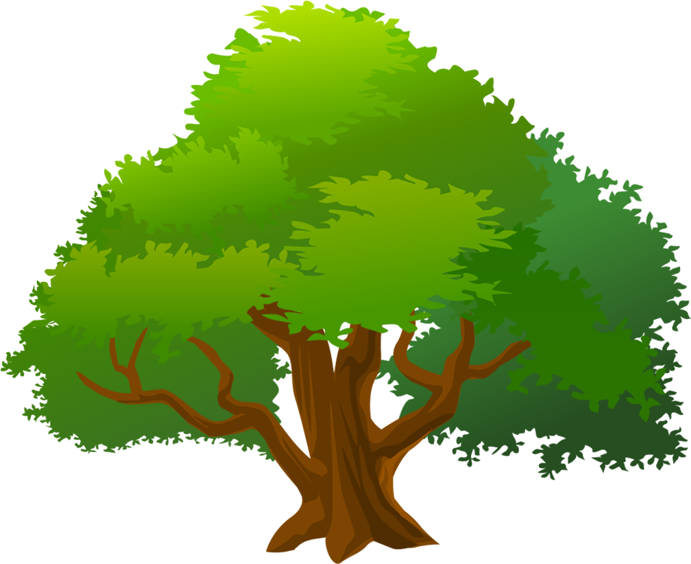 Mango Tree Clipart - Mango Tree Clipart (1065x823)