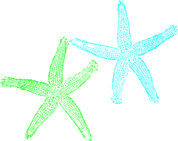 Beach Clipart No Background Collection - Beach Clipart (600x477)