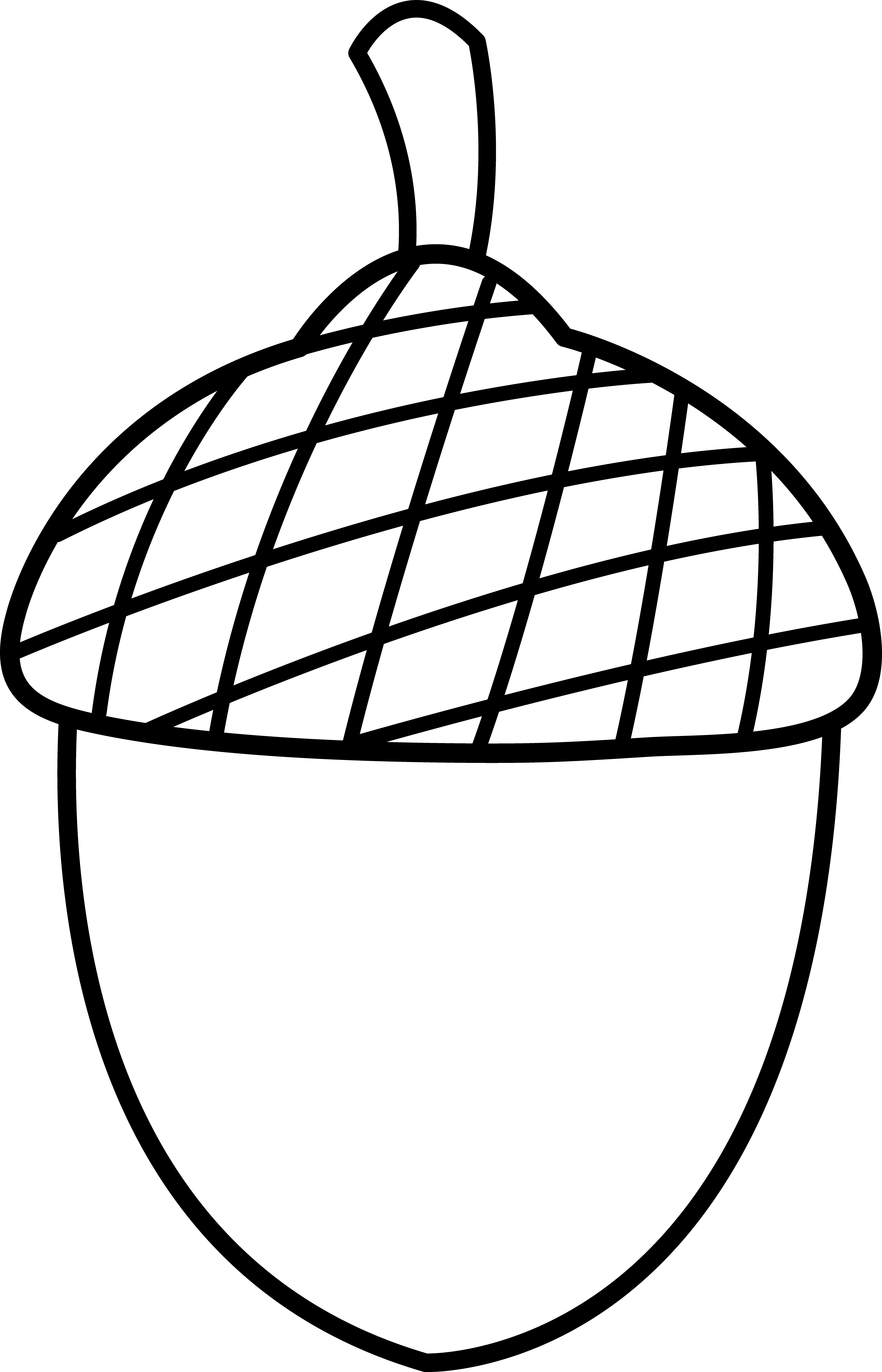 Codes For Insertion - Acorn Black And White Clipart (3963x6165)