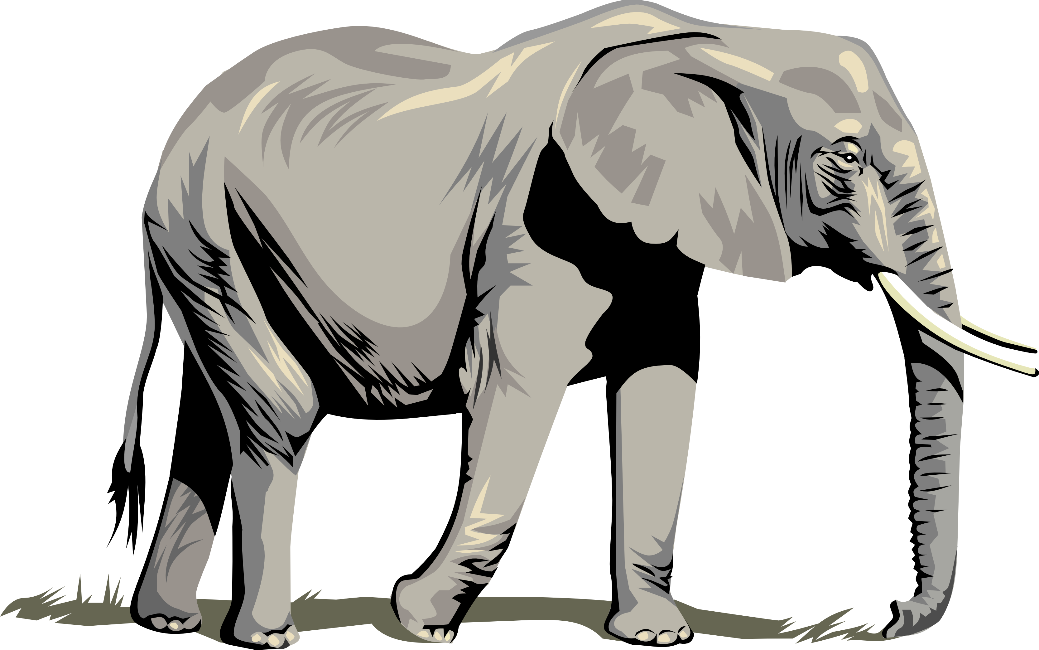 This Free Clip Arts Design Of Elephant Png - Elephant Clipart Png (3333x2084)