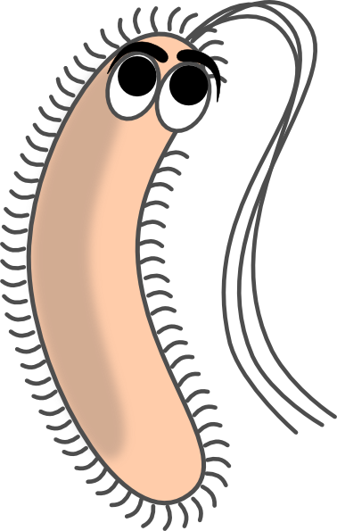 Modified Funny Bacteria Clip Art At Vector Clip Art - Bacteria Cartoon (812x1280)