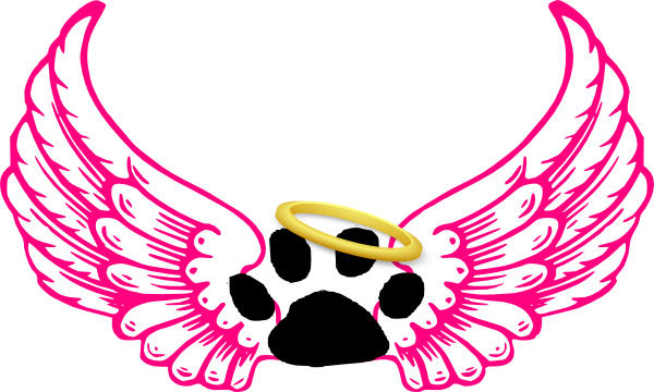 Animal Angel Clip Art - Angel Wings With Halo (600x360)