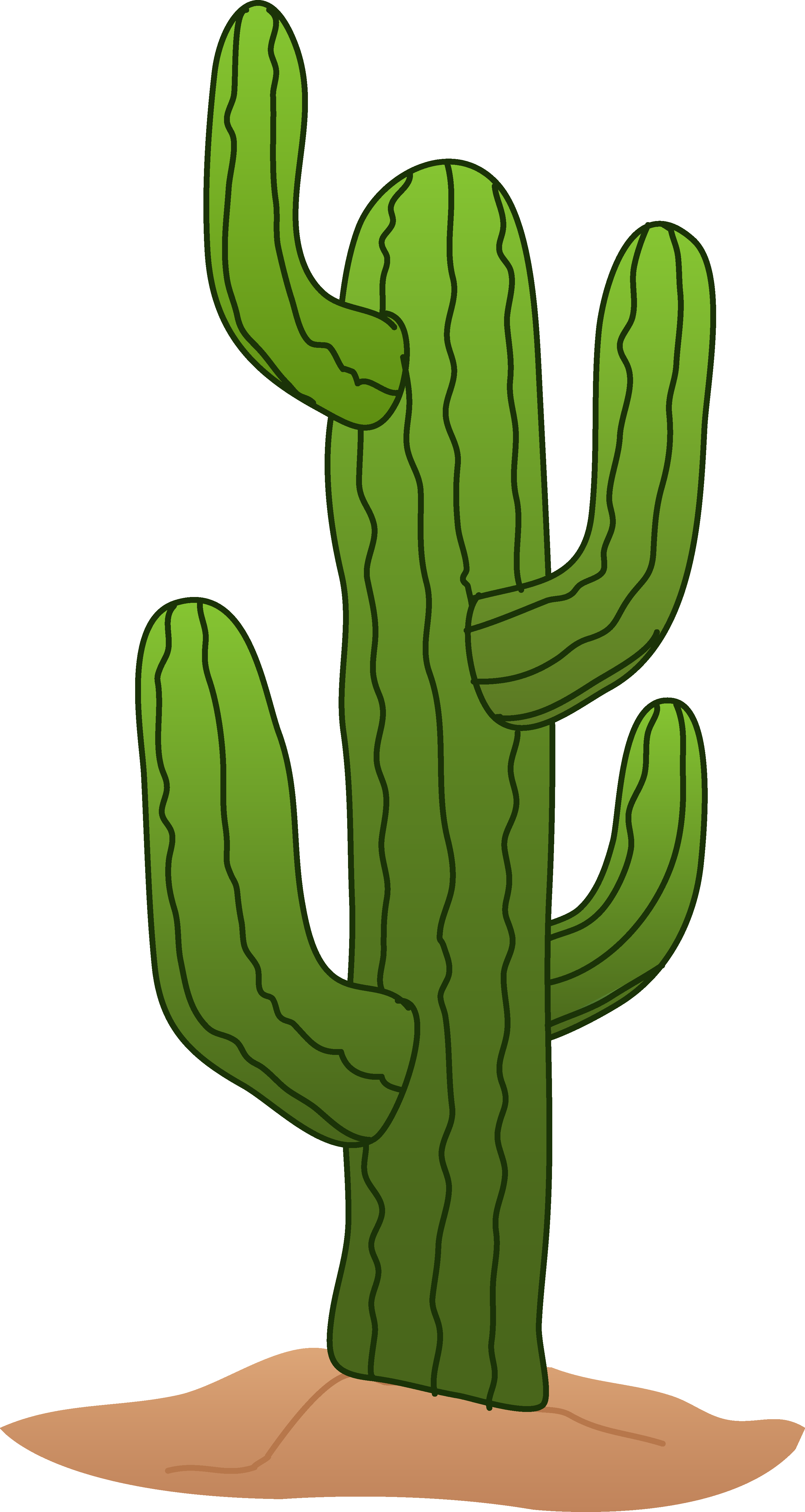 Cactus Image Free - Cactus Clip Art Transparent (2889x5425)