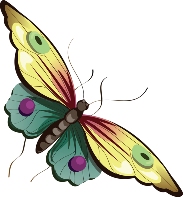 Butterfly - Clipart Best - Butterfly Png Transparent Cartoon (600x646)