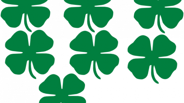 Portfolio Pictures Of Shamrocks Clip Art At Clker Com - Clip Art (585x329)