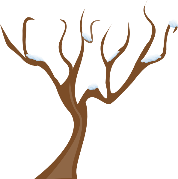 Without Leaves Clipart Clipground - Tree Without Leaves Clipart (594x596)