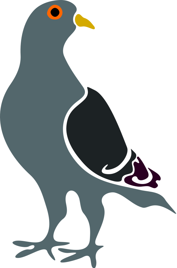 Clip Art - Pigeon Vector (594x900)