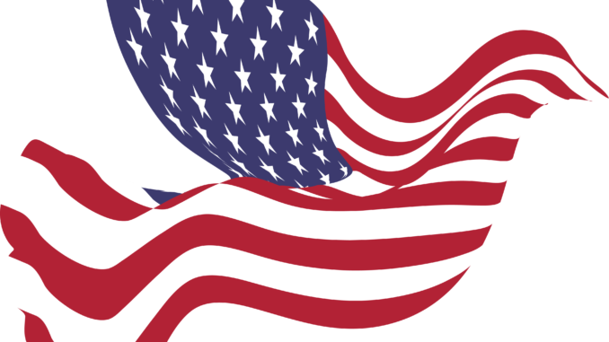 American Flag Clipart Pics - American Peace Dove Mugs (678x381)