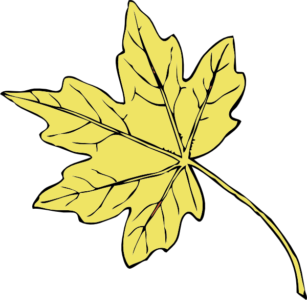Gold Maple Leaf Clip Art - Golden Maple Tree Leaf (600x585)