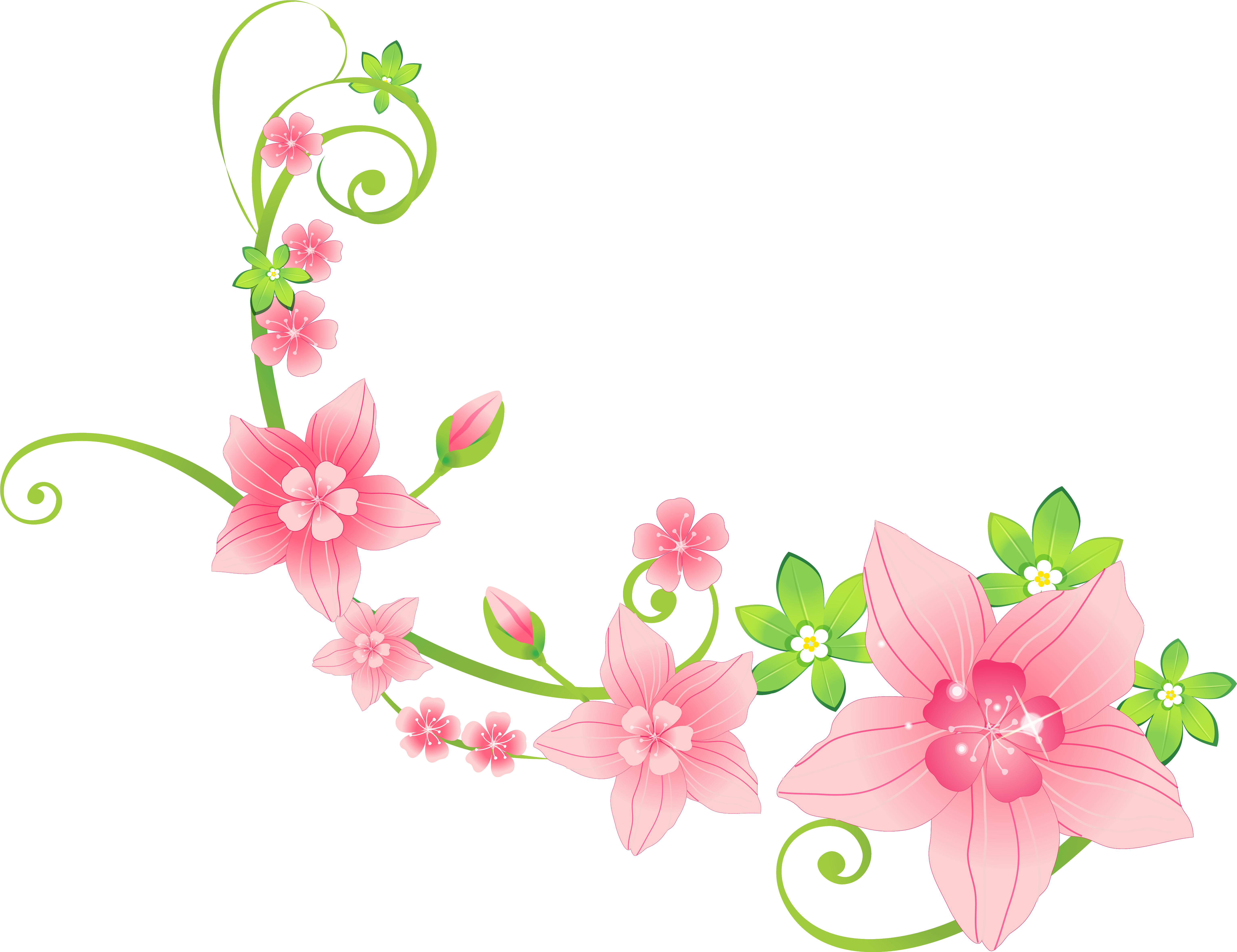 Png clipart. Цветочки на прозрачном фоне. Векторные цветы для фотошопа. Цветы вектор на прозрачном фоне. Клипарт цветы на прозрачном фоне.