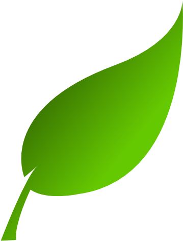 Leaf Clipart - Leaf Clip Art Png (600x600)