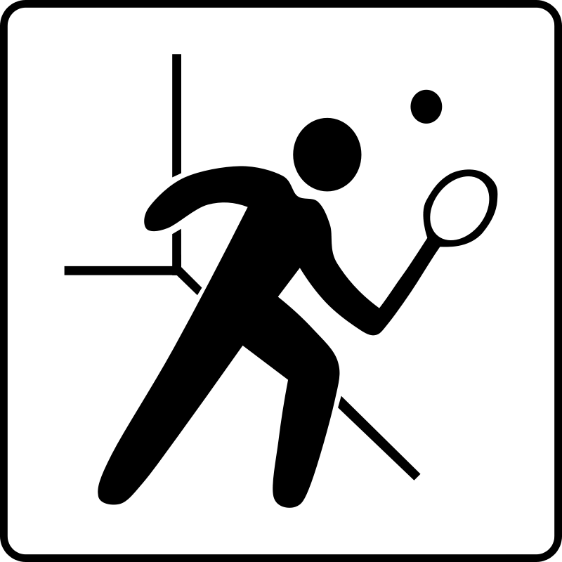 Fish Bones Clipart - Squash Court Icon (800x800)